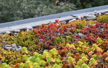 the cost of Saltcotes green roof installation