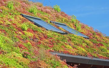 Saltcotes living roof systems
